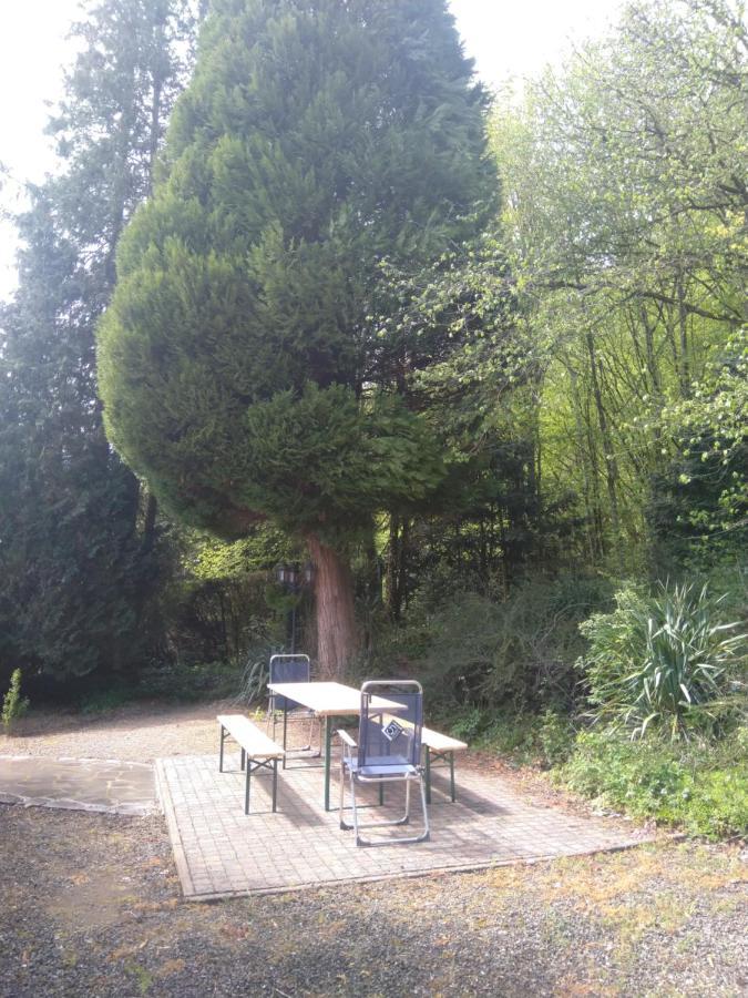 A L'Oree Du Bois Hamoir Exterior photo